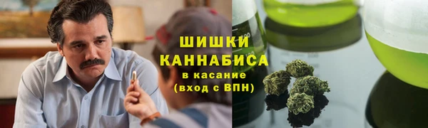 гашик Арсеньев