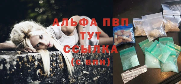 гашик Арсеньев