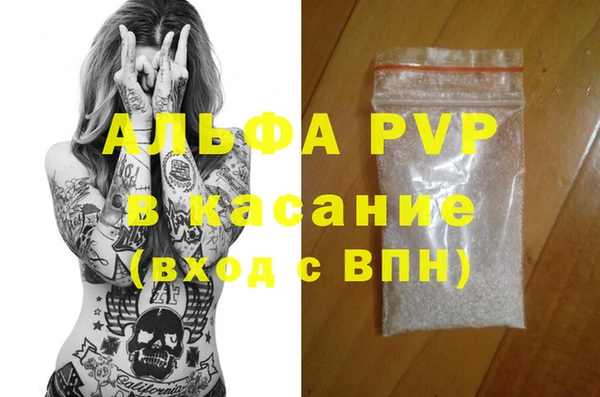гашик Арсеньев