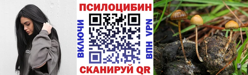 Купить закладки  Енисейск  Псилоцибиновые грибы Magic Shrooms 